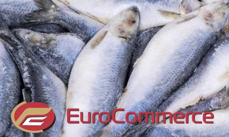 Лосось, Мойва, Оселедець, Риба Аргентина, Скумбрія, Хек. Оптом. Власний імпотрт - фото № 1