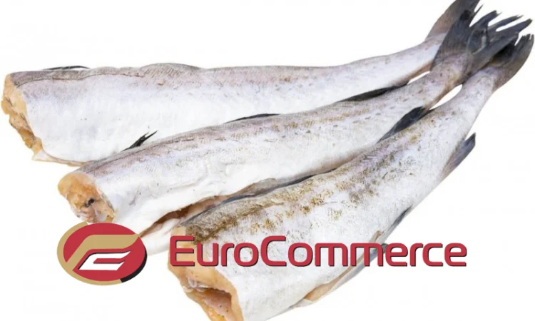 Риба Аргентина морожена оптом. Власний імпорт - фото № 1