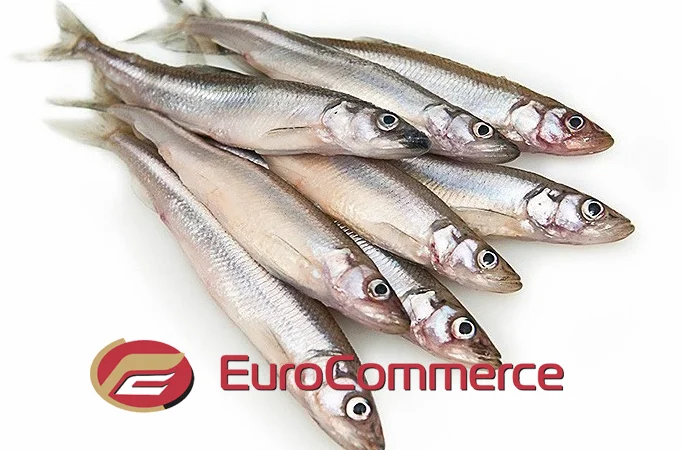 Мойва морожена оптом. Власний імпорт - фото № 1