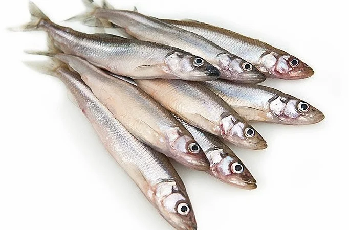 Мойва морожена оптом. Власний імпорт - фото № 1