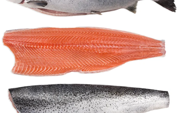 Продаж замороженого лосося та морепродуктів оптом - фото № 1