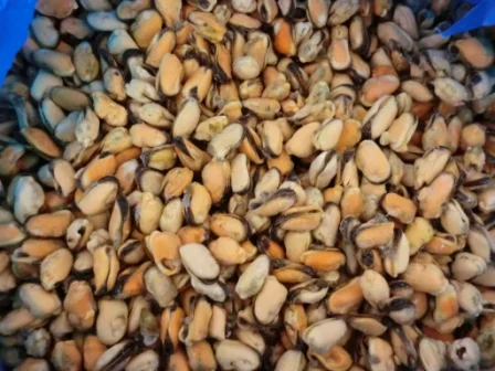 Продаем лосось замороженный и морепродукты оптом - фото № 1