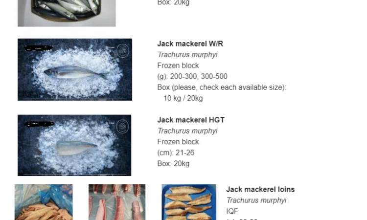 Продается оптом морская рыба: Скумбрия, Хек, Кальмар - фото № 1