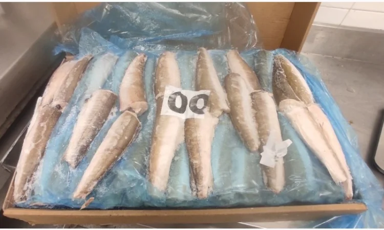 Продаем Хек мороженный тушка филе - фото № 1