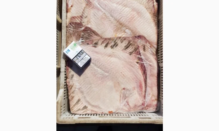 Камбала азовская (калкан), оптом - фото № 1