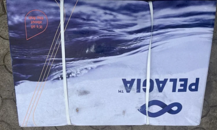 Скумбрія Pelagia 600 - фото № 4