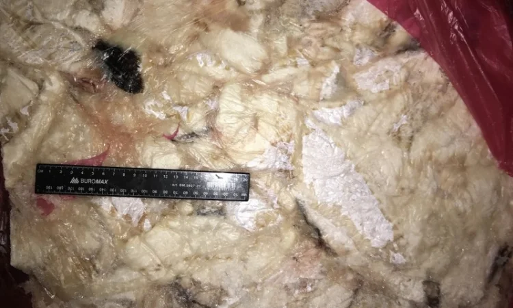 Обрезь сайды свежемороженые. Сайда обрезь - фото № 2