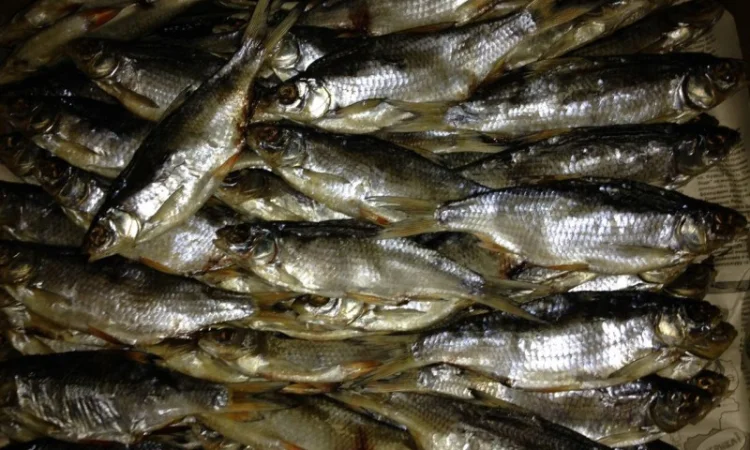 Плотва вяленая - фото № 1