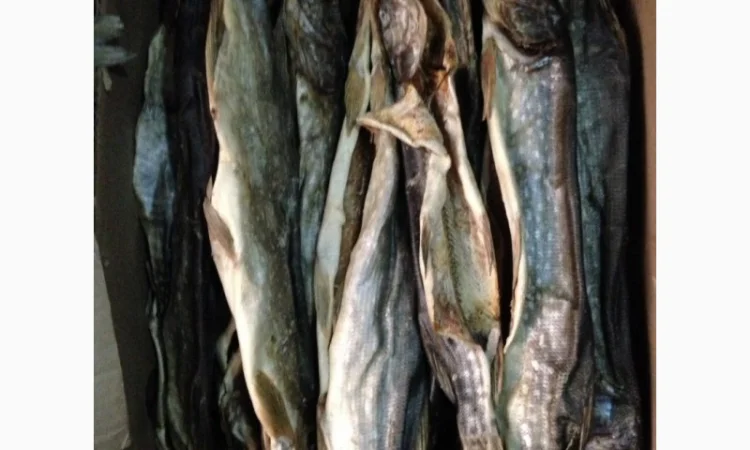 Щука вяленая - фото № 1