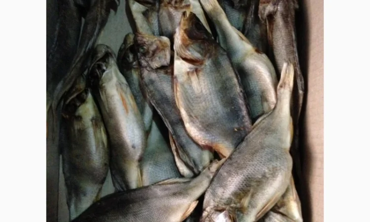 Окунь вяленый - фото № 1