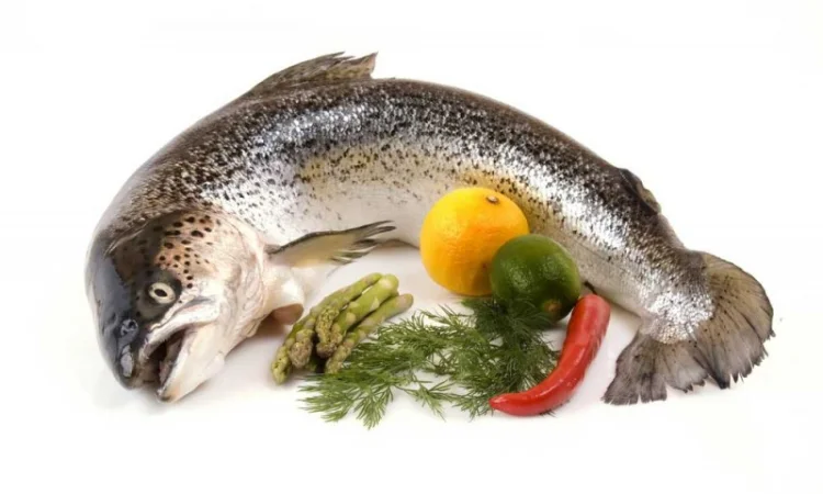 Лосось (семга) охлажденный тушка - фото № 1