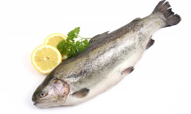 Форель, охлажденная тушка, потрошенная, с головой - фото № 1