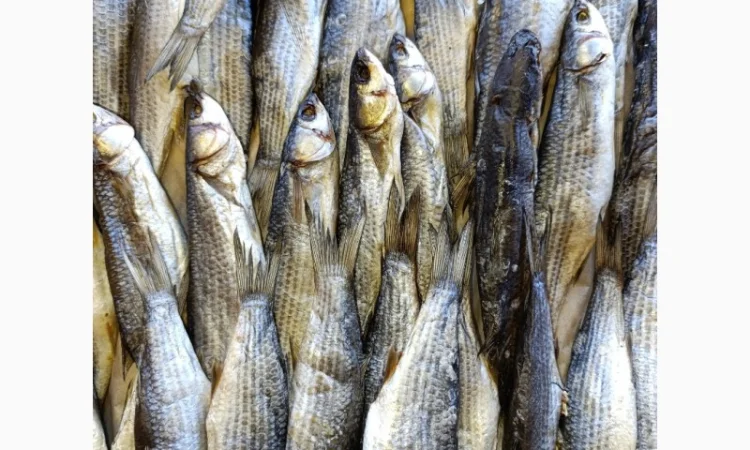 Продам вяленую икряну тарань - фото № 2