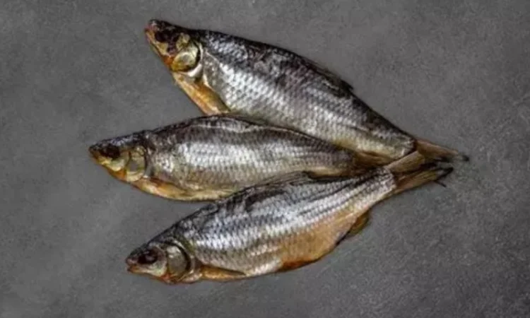 Продам чехонь - фото № 2