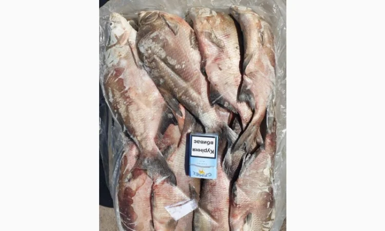 Продам свежемороженую рыбу – лещ, лещ мелкий. Опт - фото № 1