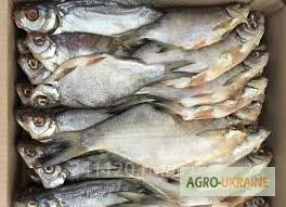 Рыбоперерабатывающий цех продаёт речную вяленую рыбу - фото № 2