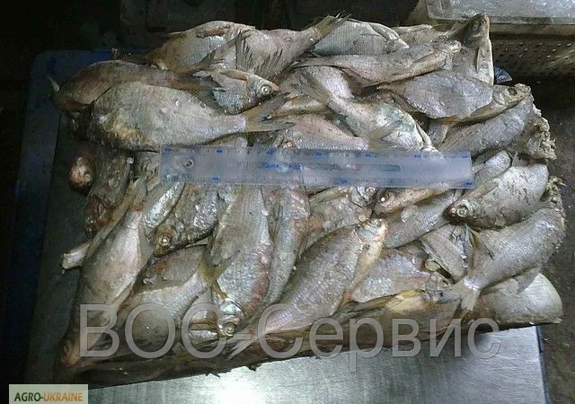 Рыбная компания реализует свежемороженую рыбу оптом - фото № 3