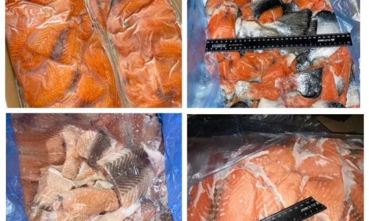 Предлагаю Обрезки рыбы Лещ. Головы, хребты, хвосты, кишки. В замороженном виде - фото № 1