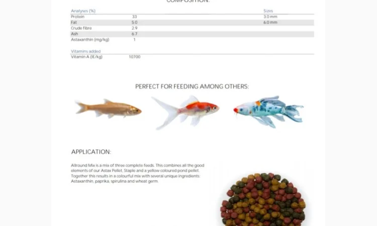 Карпы Кои для пруда - качественные японские рыбы - фото № 13