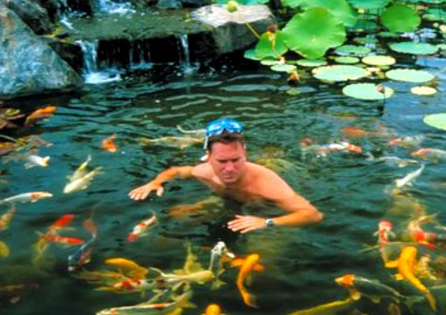 Карпы Кои Украина, рыбки для пруда, корм для кои, водные растения, пруд, аквариум, рыбоводство - фото № 4