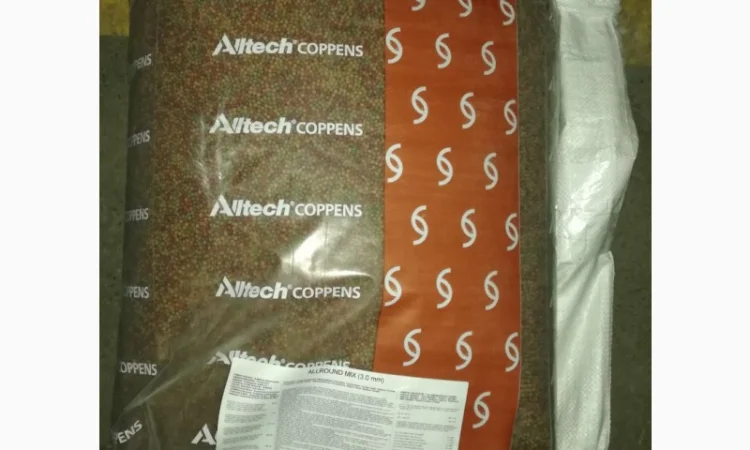 Карпы Кои Украина, рыбки для пруда, корм для кои, водные растения, пруд, аквариум, рыбоводство - фото № 5