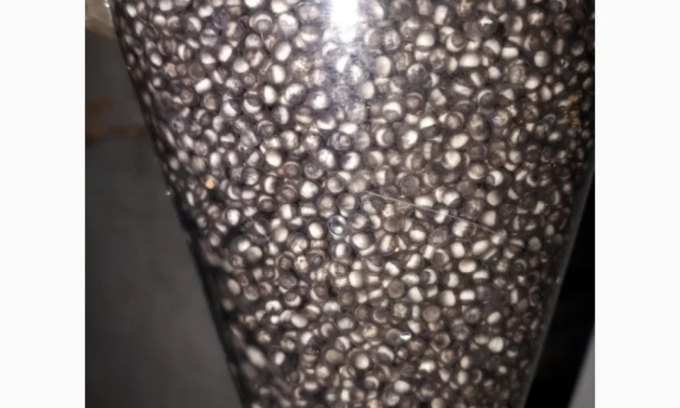 Продаж оплодотвореної ікри та мальків - фото № 1