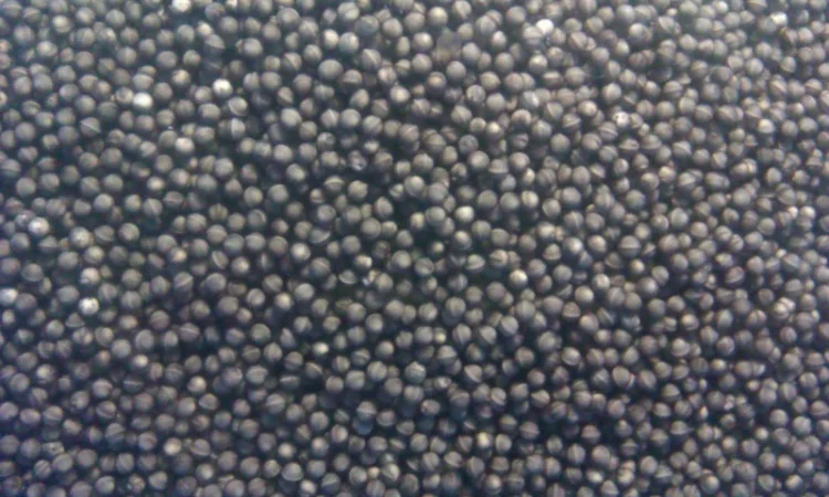 Продается малька бестера осетра - фото № 3