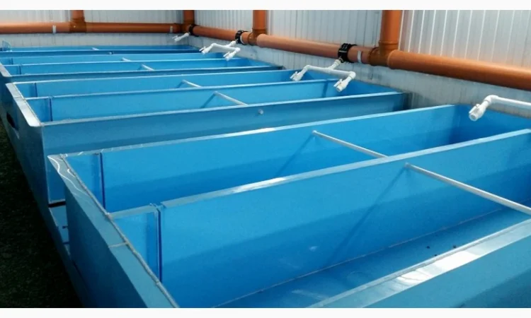 Рытье и очистка прудов для разведения рыбы - фото № 2