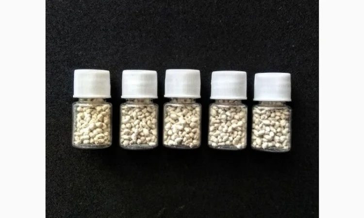 Карпа гипофиз, короповий гіпофіз - фото № 4