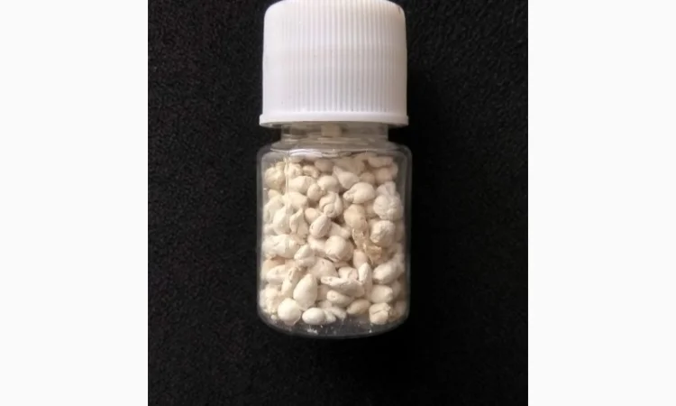 Карпа гипофиз, короповий гіпофіз - фото № 2