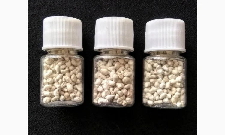 Карпа гипофиз, короповий гіпофіз - фото № 3