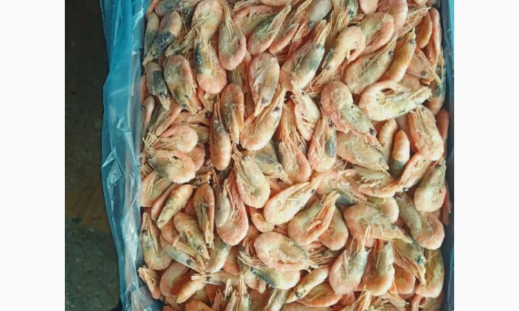 Креветка 180 - фото № 1