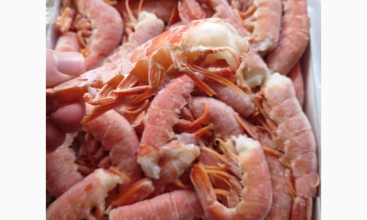 Креветка Аргентинська без голови C1 - фото № 2