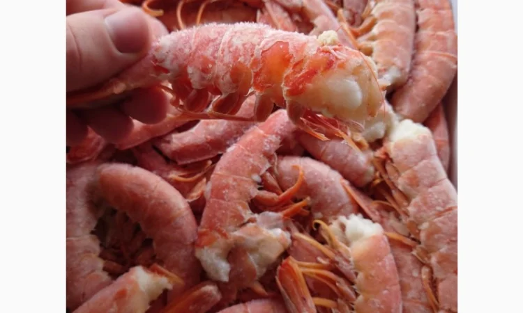 Креветка Аргентинська без голови C1 - фото № 3