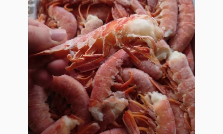 Креветка Аргентинська без голови C1 - фото № 4