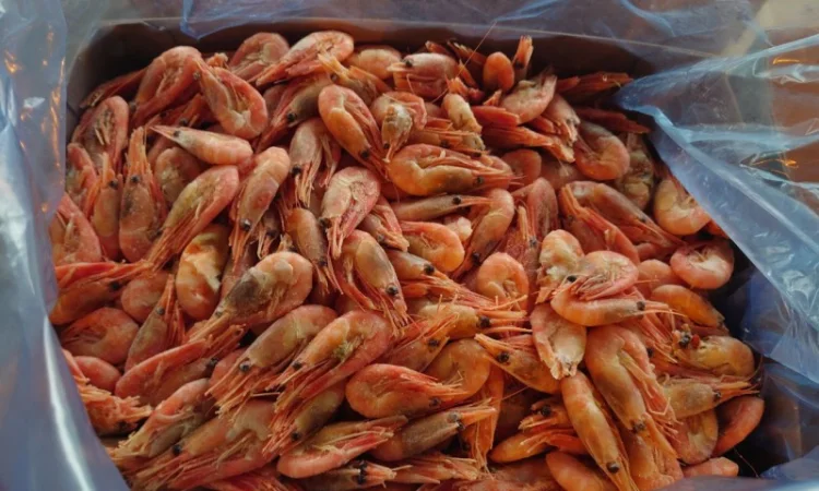 Креветка 90+ Норвегія - фото № 1