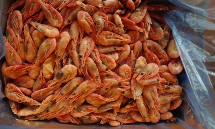 Креветка 90+ Норвегія - фото № 2