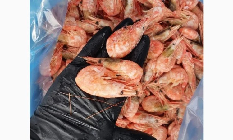 Продам креветку варено-мороженную (пивную) оптом и в розницу - фото № 1