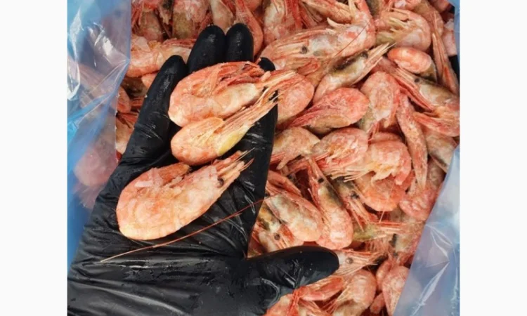 Продам креветку варено-мороженную (пивную) оптом и в розницу - фото № 2