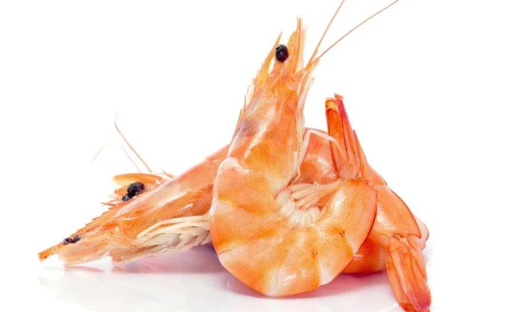 Куплю креветку - фото № 1