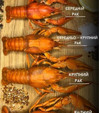 Раки живі та варені за домовленістю - фото № 6