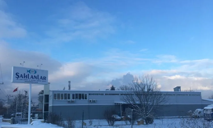 Замороженные вареные целые раки в рассоле с укропом - фото № 4