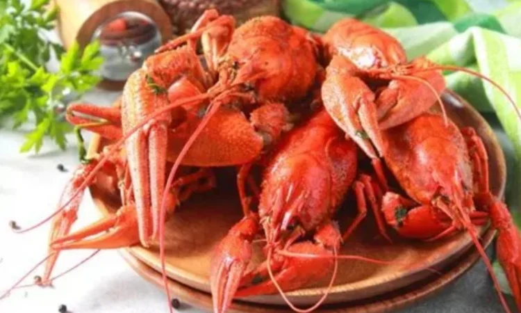 Продам варёные раки - фото № 2