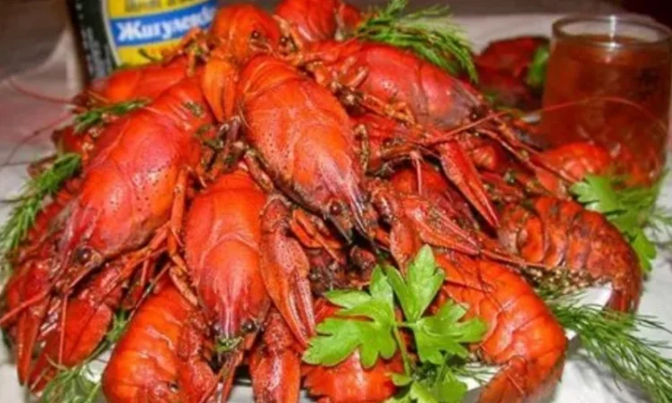 Продам варёные раки - фото № 3