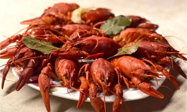 Раки живые и вареные - фото № 8