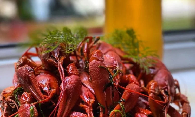 Раки живые и вареные - фото № 9