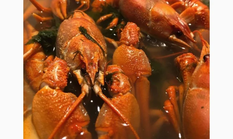 Куплю раки - фото № 2