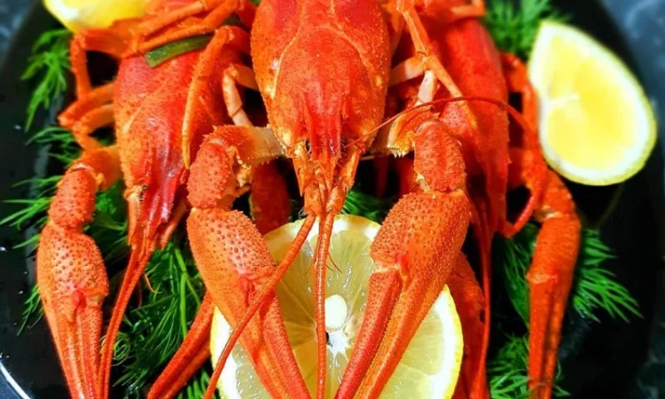 Куплю раки. Дорого - фото № 1