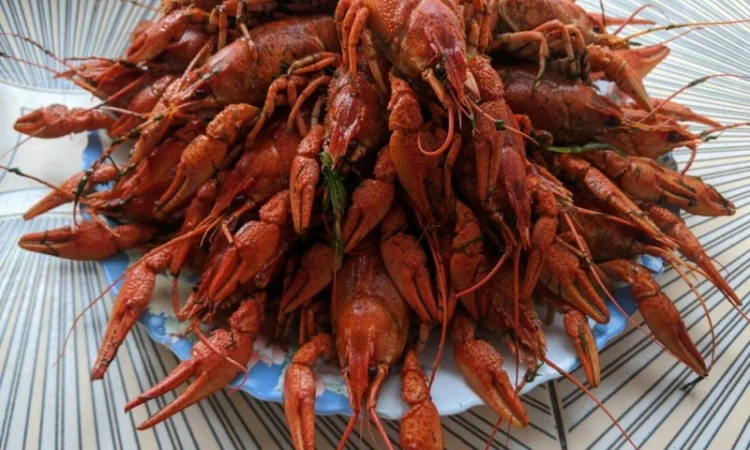 Куплю Живых Раков - фото № 1