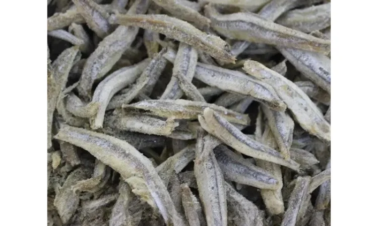 Анчоусс - фото № 1